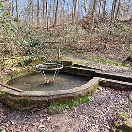 Wassertretbecken