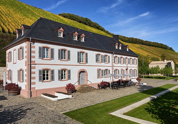 Weingut Cantzheim (1)