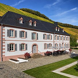 Weingut Cantzheim (1)
