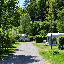 Camping Waldfrieden Saarburg (3)