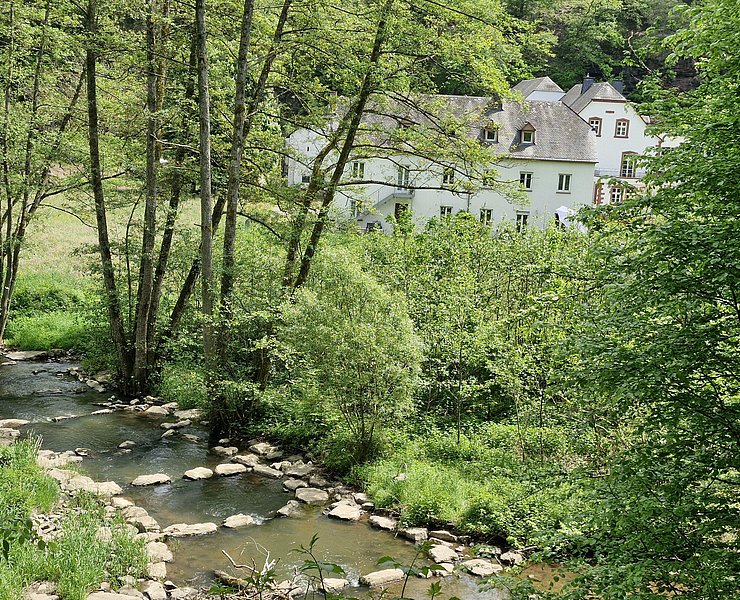 Wildling Genussstation in Kollesleuken