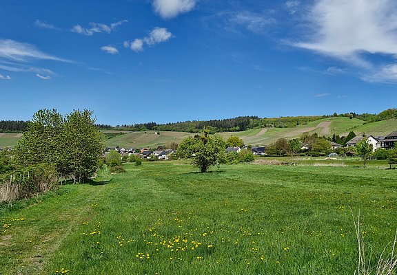 Blick auf Nieder- und Obermennig