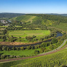 Wiltinger Saarbogen (2)