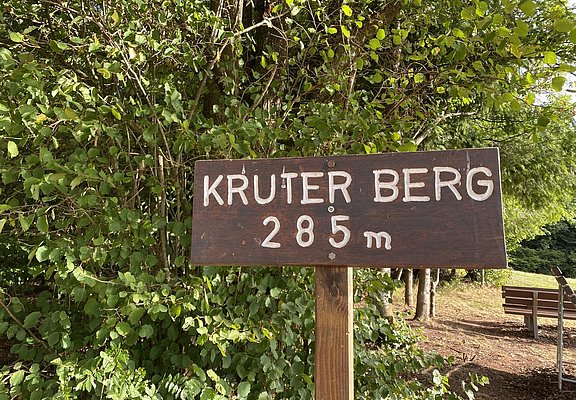 Kruterberg Blick auf Saarburg (09)