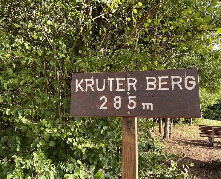 Kruterberg Blick auf Saarburg (09)