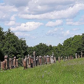Historischer Rundweg - Station 9 (1)
